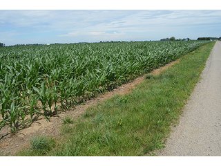 Property photo 132 - LAND AUCTION - 215+/- ACRES OFFERED IN 6 TRACTS IN VAN WERT COUNTY, OHIO